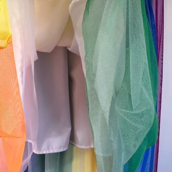 Rainbow Women’s Tulle High Low Adult Skirt Size Small - Picture 7 of 9